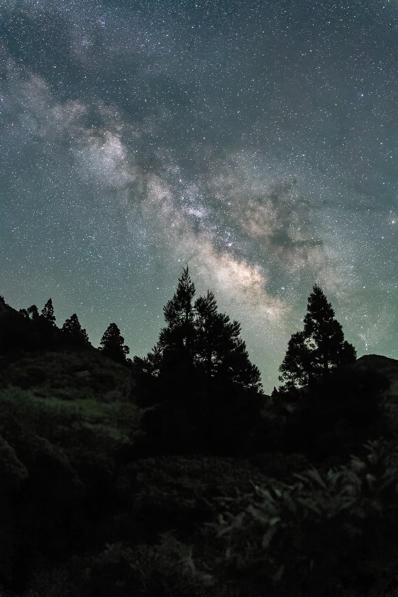Milky Way Soirees